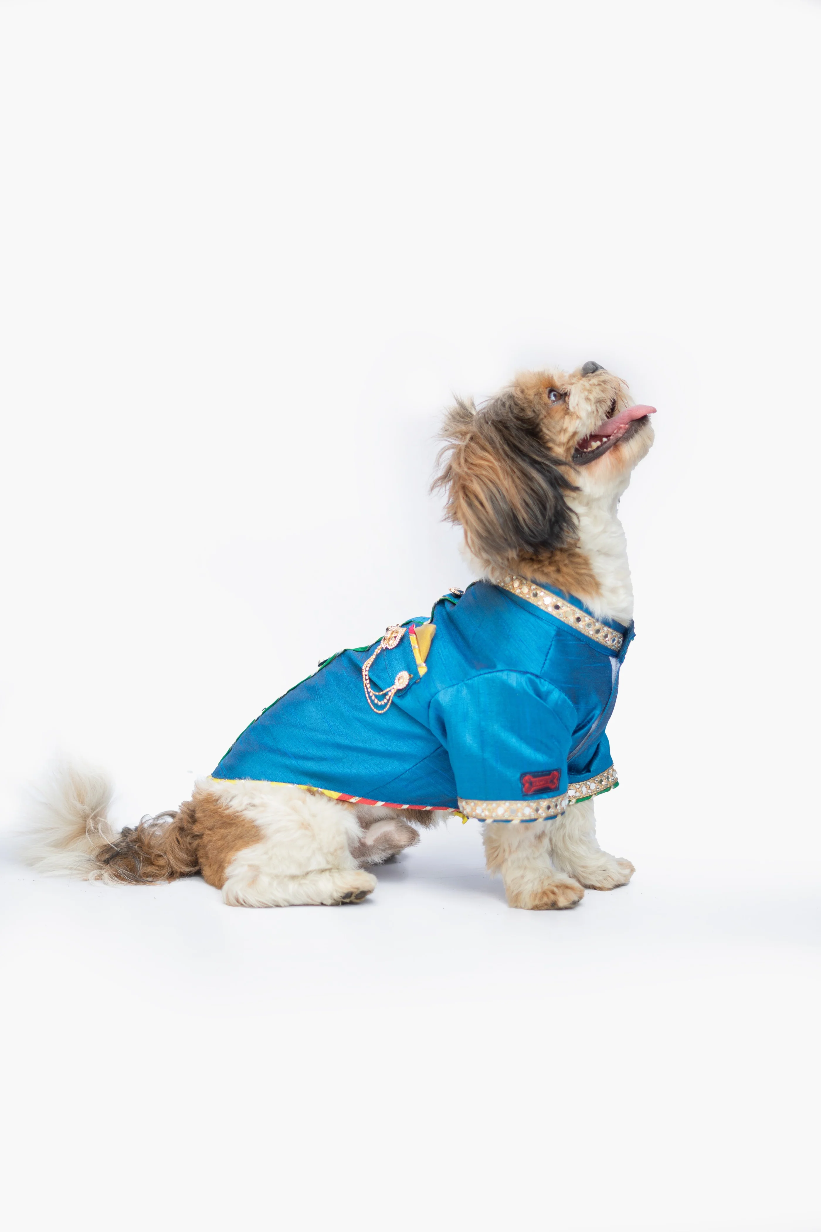 Pawgy Pets Raw Silk Sherwani: Rani for Dogs - Image 6