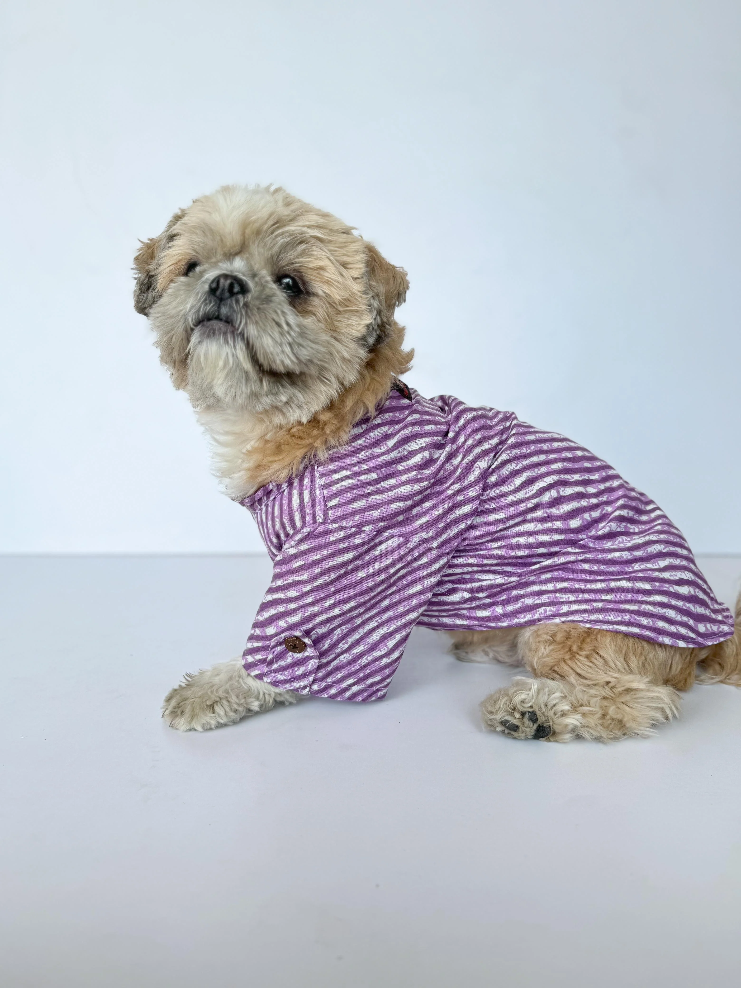 Pack of 2 - Dog Kurtas: Zig-Zag Green & Purple Lehriya - Image 3