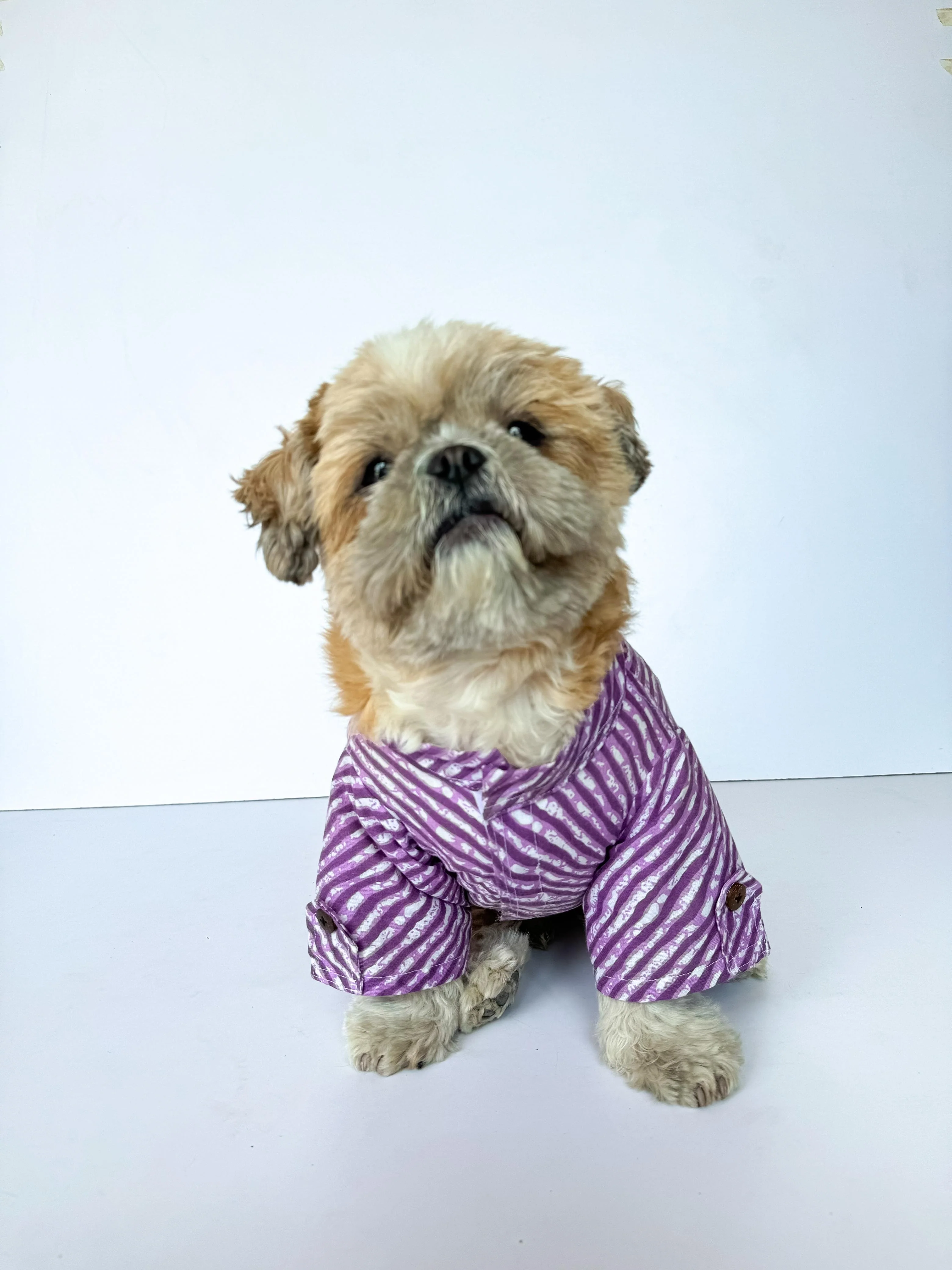 Pack of 2 - Dog Kurtas: Zig-Zag Green & Purple Lehriya - Image 5