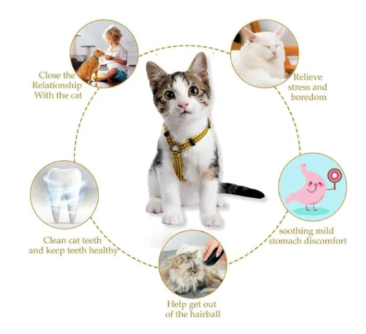 Pawgy Pets Edible Catnip Ball for Cats: Yellow - Image 3