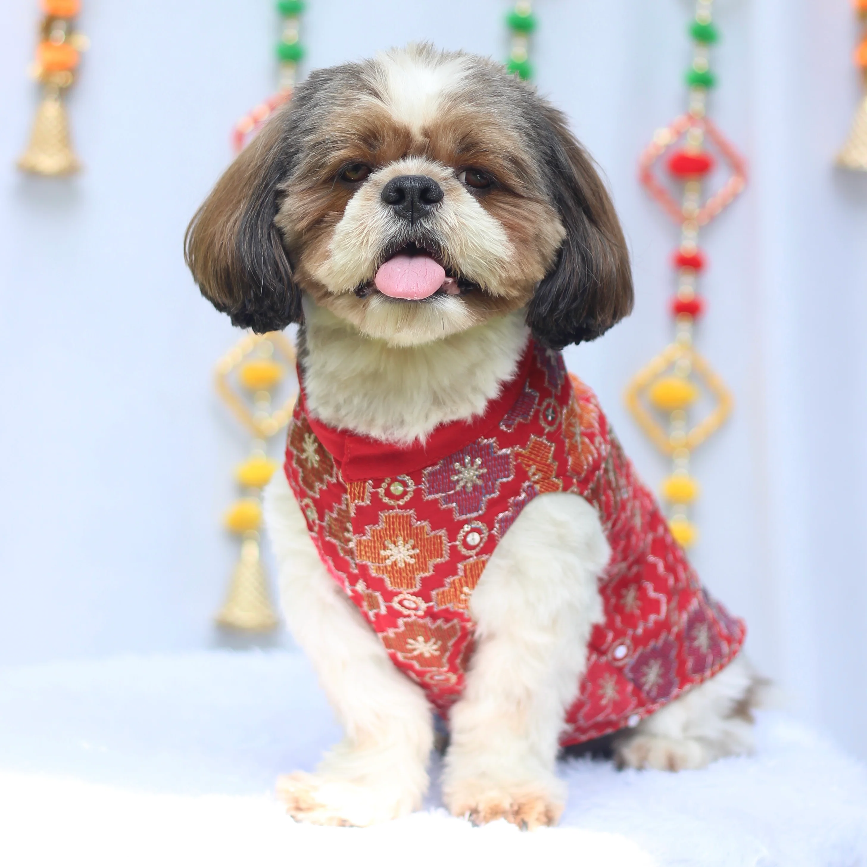 Pawgy Pets Festive Kurta Patola for Dogs - Image 6