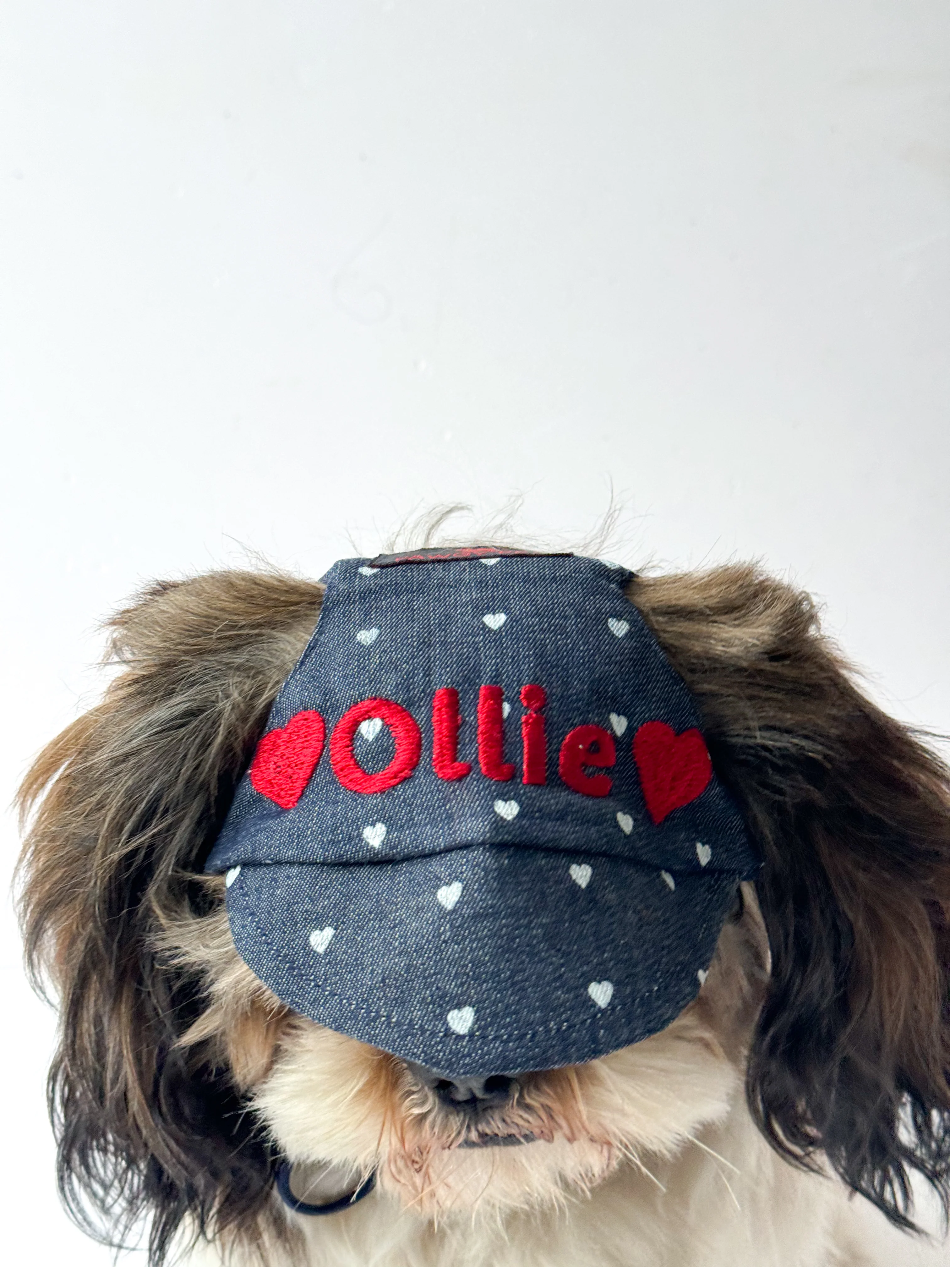Pawgy Pets Personalised Dog Cap and Bandana: Hearty Denim for Dogs & Cats - Image 3