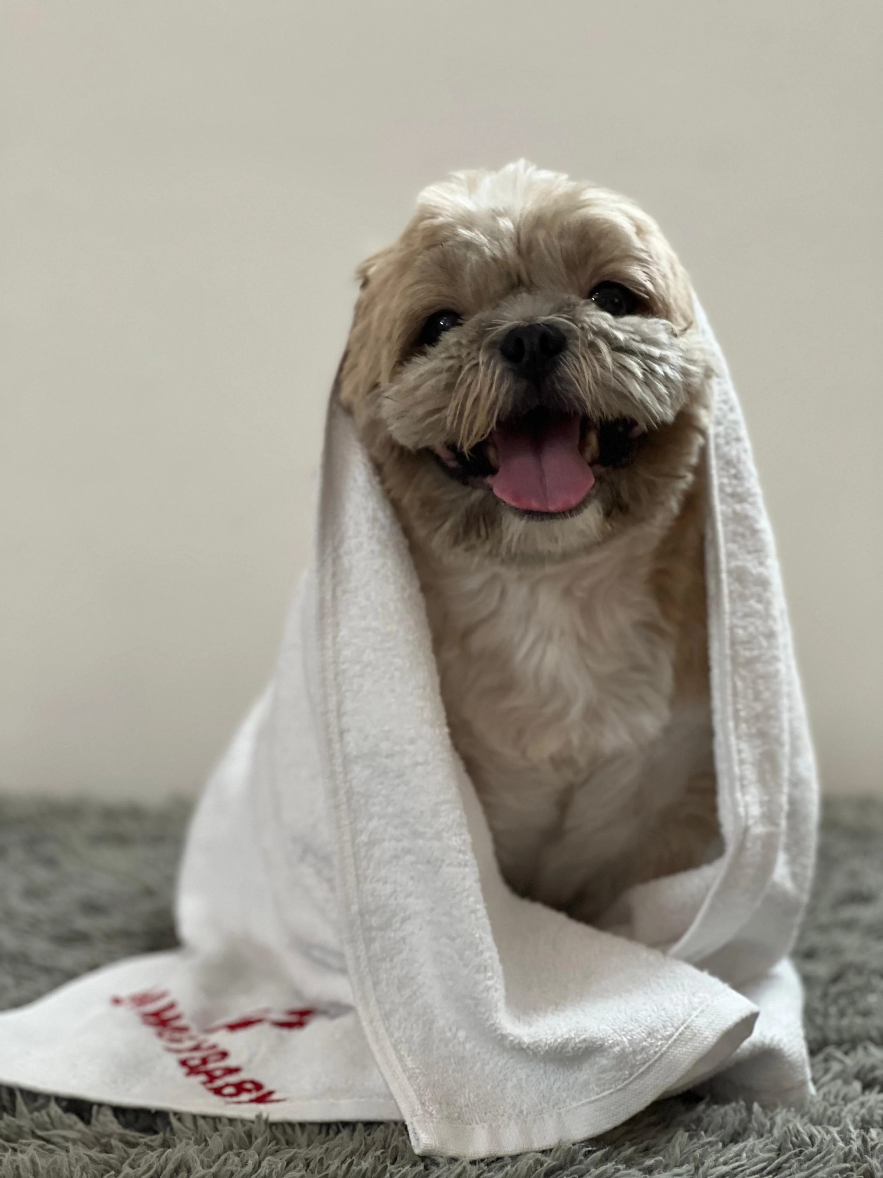 Pawgy Pets Personalised Pet Towel: White for Dogs & Cats - Image 4