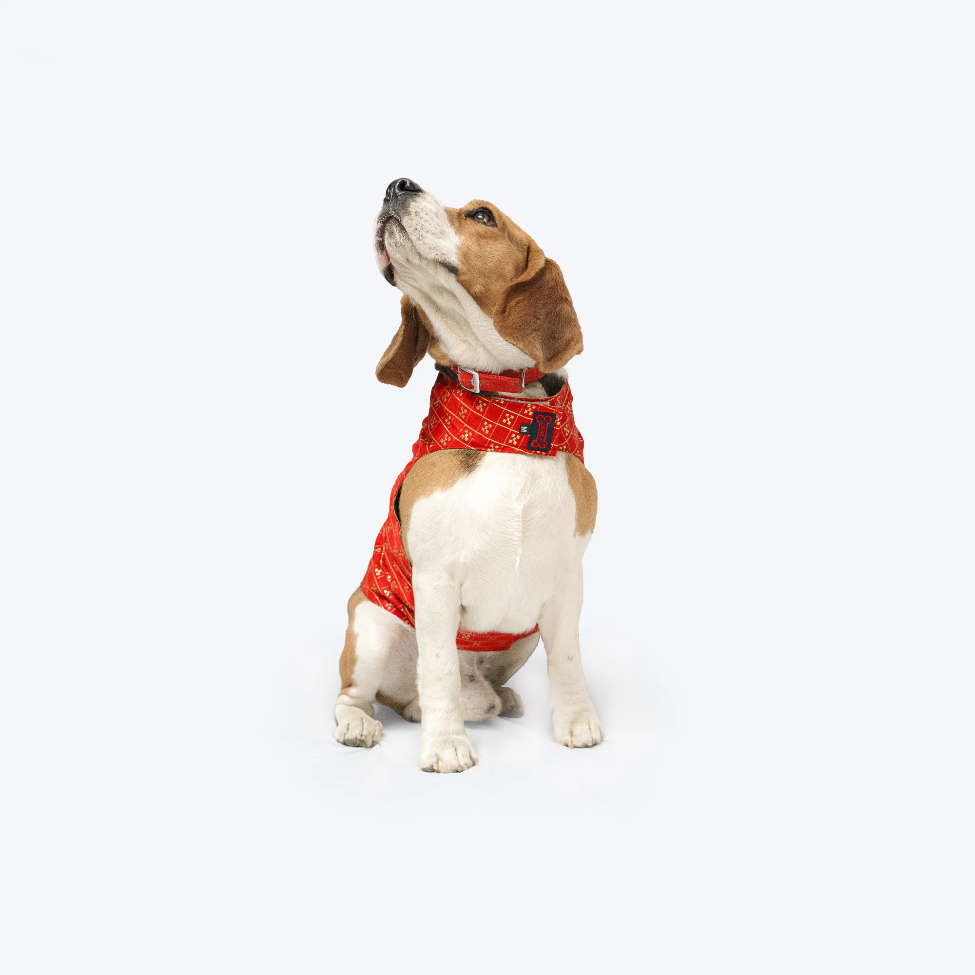 Pawgy Pets Strapy Sherwani Red for Dogs - Image 5